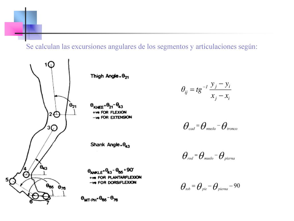 Se calculan las excursiones angulares de los segmentos y articulaciones según: