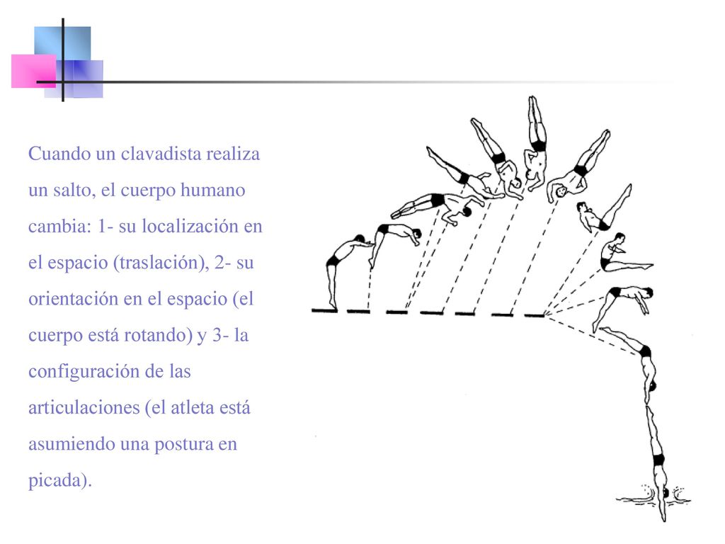 Cuando un clavadista realiza un salto, el cuerpo humano cambia: 1- su localización en el espacio (traslación), 2- su orientación en el espacio (el cuerpo está rotando) y 3- la configuración de las articulaciones (el atleta está asumiendo una postura en picada).