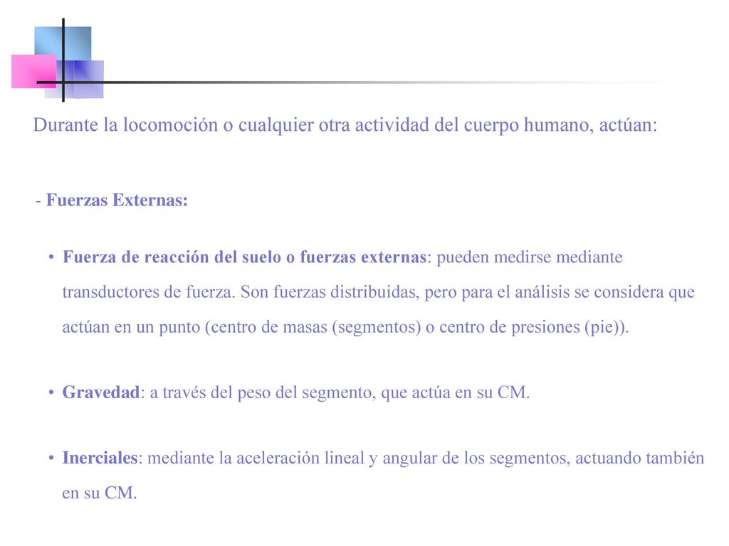 Durante la locomoción o cualquier otra actividad del cuerpo humano, actúan: