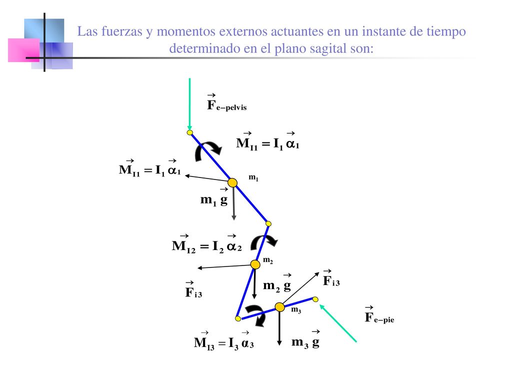Las fuerzas y momentos externos actuantes en un instante de tiempo determinado en el plano sagital son: