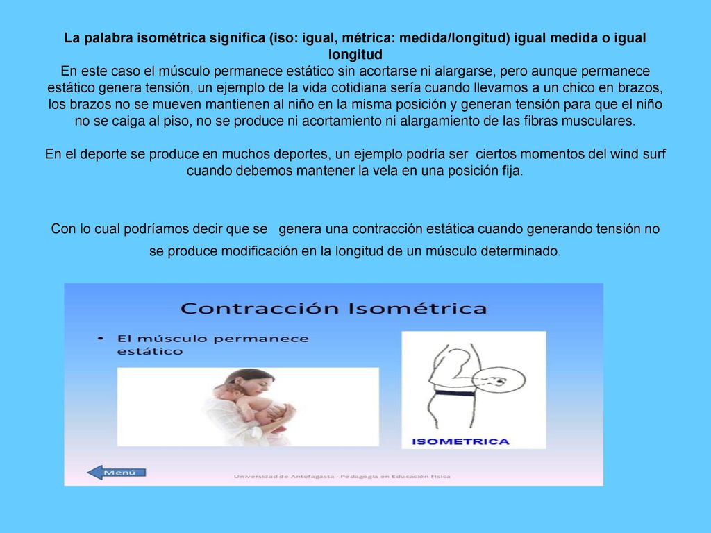 La palabra isométrica significa (iso: igual, métrica: medida/longitud) igual medida o igual longitud En este caso el músculo permanece estático sin acortarse ni alargarse, pero aunque permanece estático genera tensión, un ejemplo de la vida cotidiana sería cuando llevamos a un chico en brazos, los brazos no se mueven mantienen al niño en la misma posición y generan tensión para que el niño no se caiga al piso, no se produce ni acortamiento ni alargamiento de las fibras musculares.