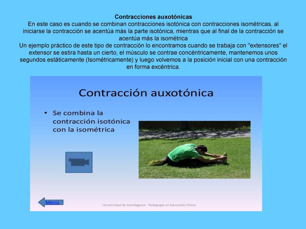 Contracciones auxotónicas En este caso es cuando se combinan contracciones isotónica con contracciones isométricas, al iniciarse la contracción se acentúa más la parte isotónica, mientras que al final de la contracción se acentúa más la isométrica Un ejemplo práctico de este tipo de contracción lo encontramos cuando se trabaja con extensores el extensor se estira hasta un cierto, el músculo se contrae concéntricamente, mantenemos unos segundos estáticamente (Isométricamente) y luego volvemos a la posición inicial con una contracción en forma excéntrica.