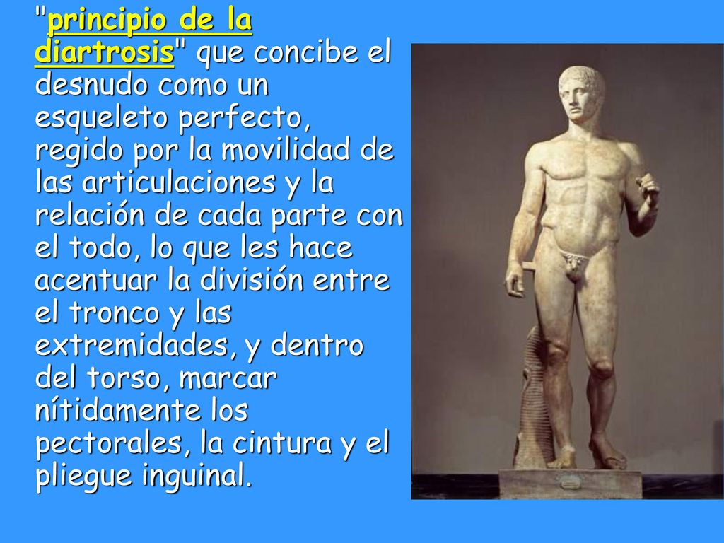 principio de la diartrosis que concibe el desnudo como un esqueleto perfecto, regido por la movilidad de las articulaciones y la relación de cada parte con el todo, lo que les hace acentuar la división entre el tronco y las extremidades, y dentro del torso, marcar nítidamente los pectorales, la cintura y el pliegue inguinal.