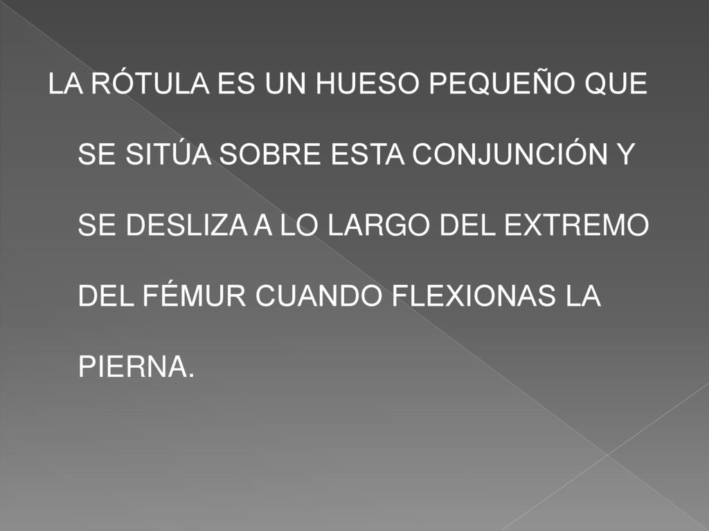 LA RÓTULA ES UN HUESO PEQUEÑO QUE SE SITÚA SOBRE ESTA CONJUNCIÓN Y SE DESLIZA A LO LARGO DEL EXTREMO DEL FÉMUR CUANDO FLEXIONAS LA PIERNA.