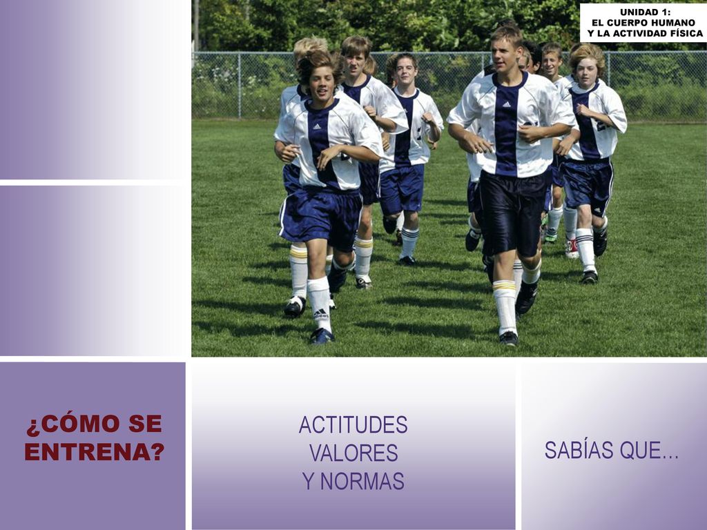 ¿CÓMO SE ENTRENA ACTITUDES VALORES Y NORMAS SABÍAS QUE… UNIDAD 1: