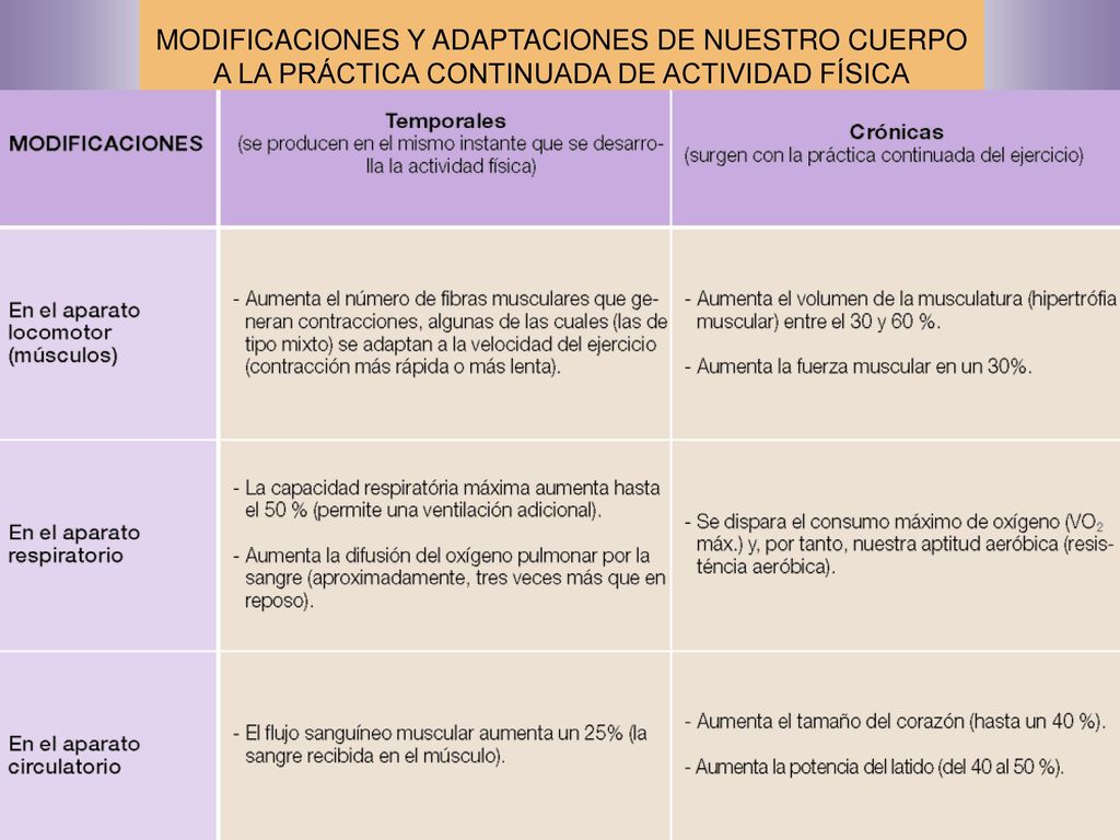 MODIFICACIONES Y ADAPTACIONES DE NUESTRO CUERPO A LA PRÁCTICA CONTINUADA DE ACTIVIDAD FÍSICA