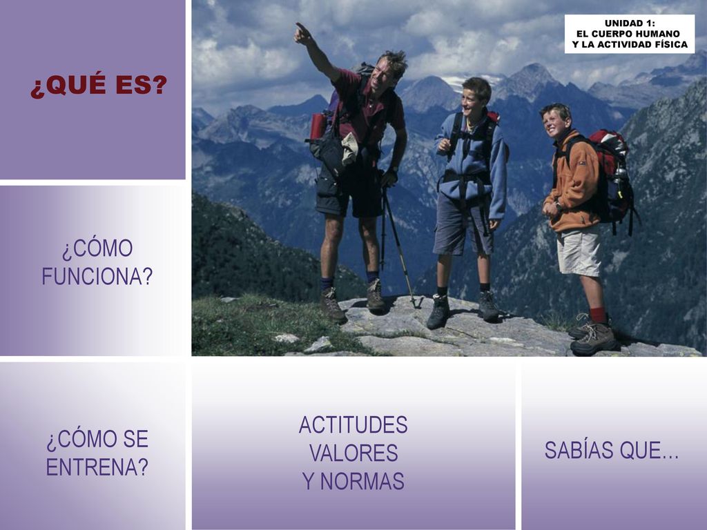 ¿QUÉ ES ¿CÓMO FUNCIONA ACTITUDES VALORES Y NORMAS ¿CÓMO SE ENTRENA