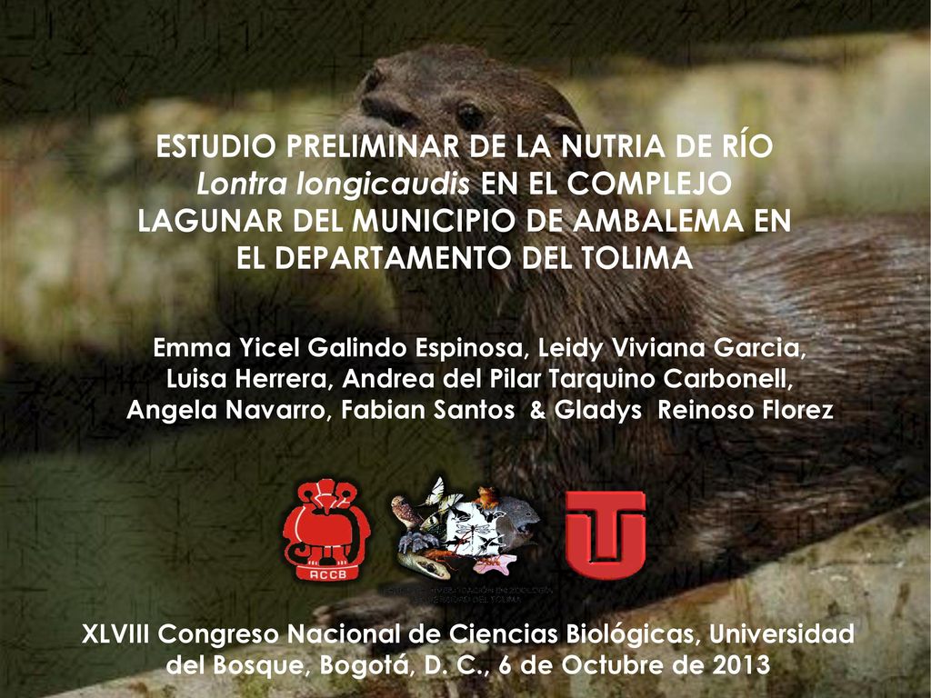 ESTUDIO PRELIMINAR DE LA NUTRIA DE RÍO Lontra longicaudis EN EL COMPLEJO LAGUNAR DEL MUNICIPIO DE AMBALEMA EN EL DEPARTAMENTO DEL TOLIMA