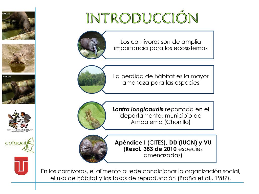 INTRODUCCIÓN Apéndice I (CITES), DD (IUCN) y VU (Resol. 383 de 2010 especies amenazadas)
