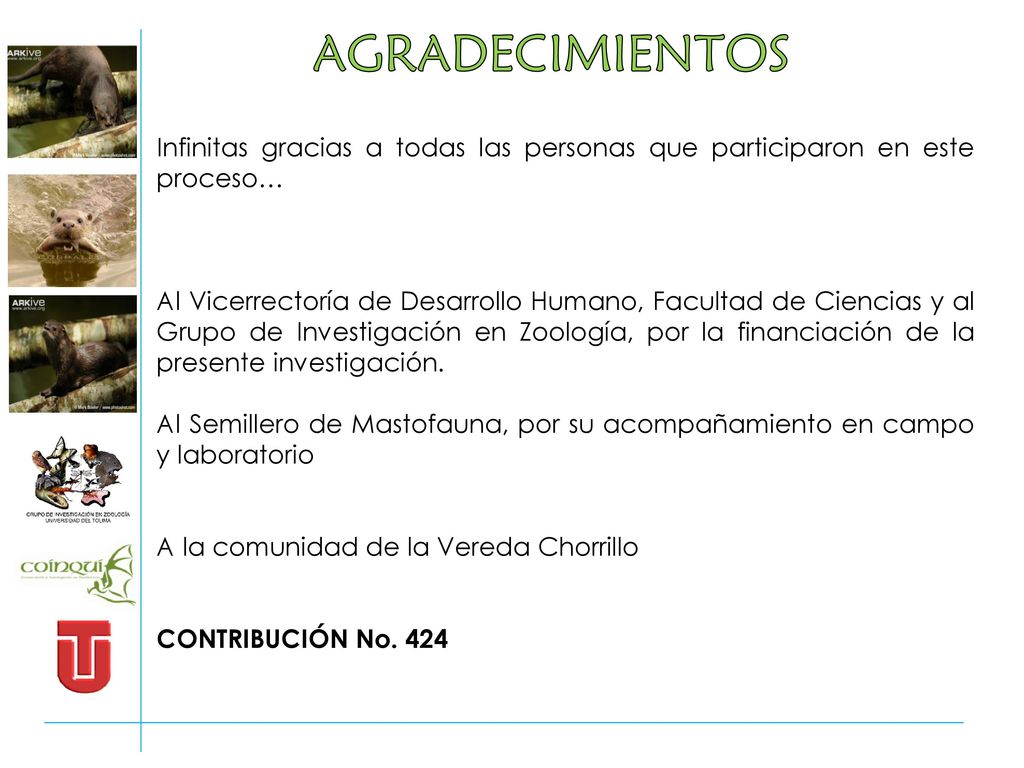AGRADECIMIENTOS Infinitas gracias a todas las personas que participaron en este proceso…