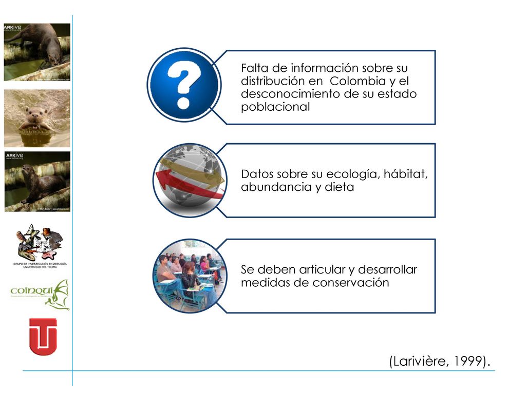 Falta de información sobre su distribución en Colombia y el desconocimiento de su estado poblacional