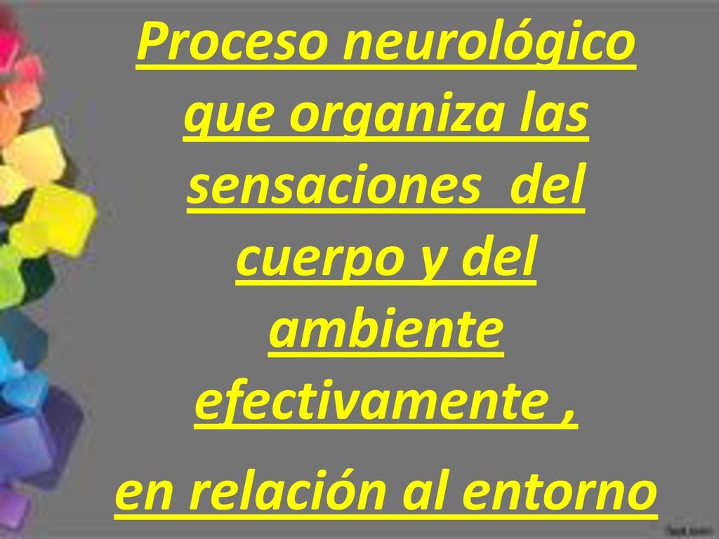 Proceso neurológico que organiza las sensaciones del cuerpo y del ambiente efectivamente , en relación al entorno