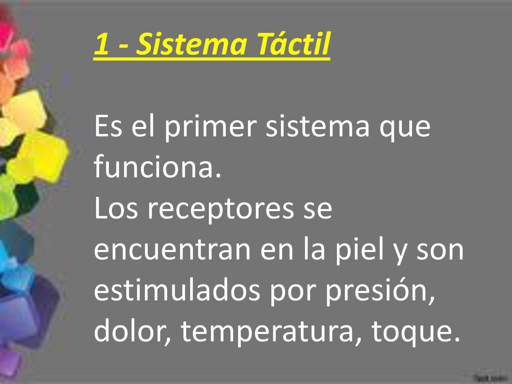 1 - Sistema Táctil Es el primer sistema que funciona.