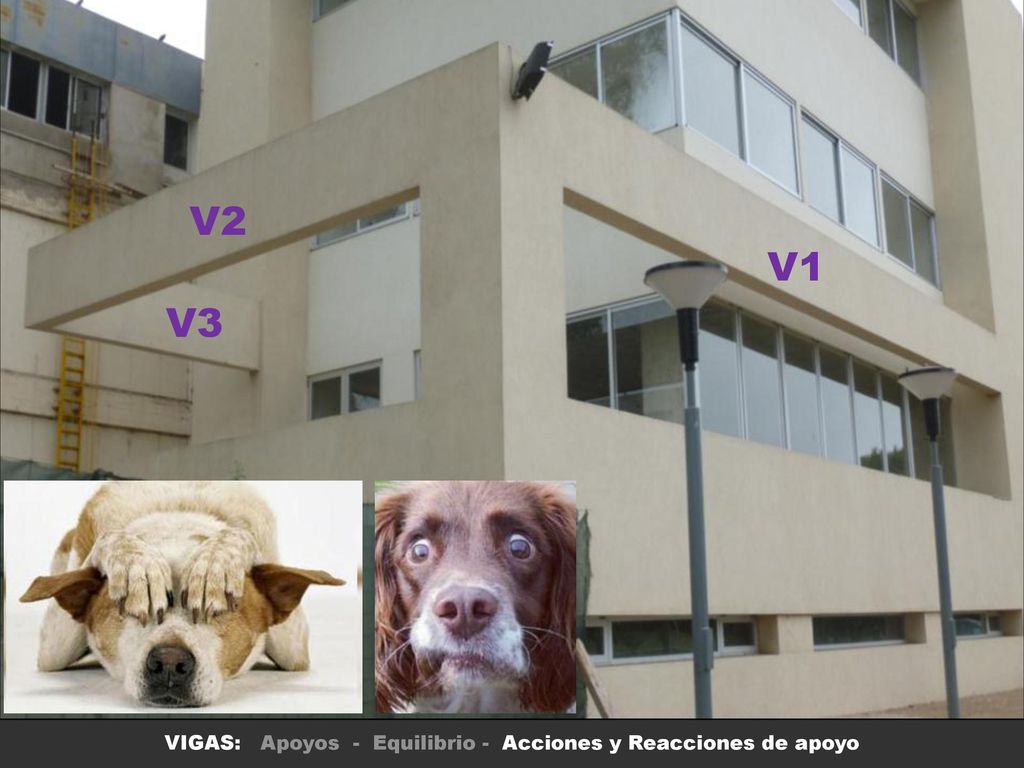 VIGAS: Apoyos - Equilibrio - Acciones y Reacciones de apoyo