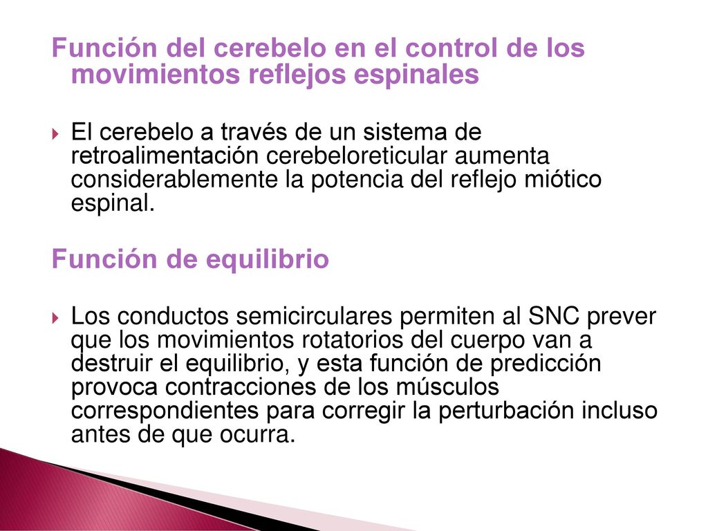 Función del cerebelo en el control de los movimientos reflejos espinales