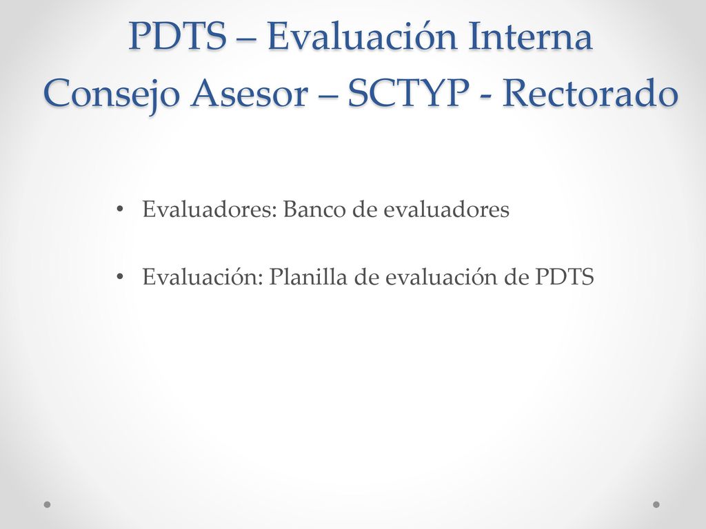 PDTS – Evaluación Interna Consejo Asesor – SCTYP - Rectorado
