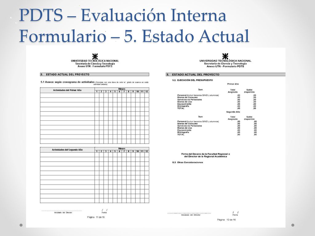 PDTS – Evaluación Interna Formulario – 5. Estado Actual