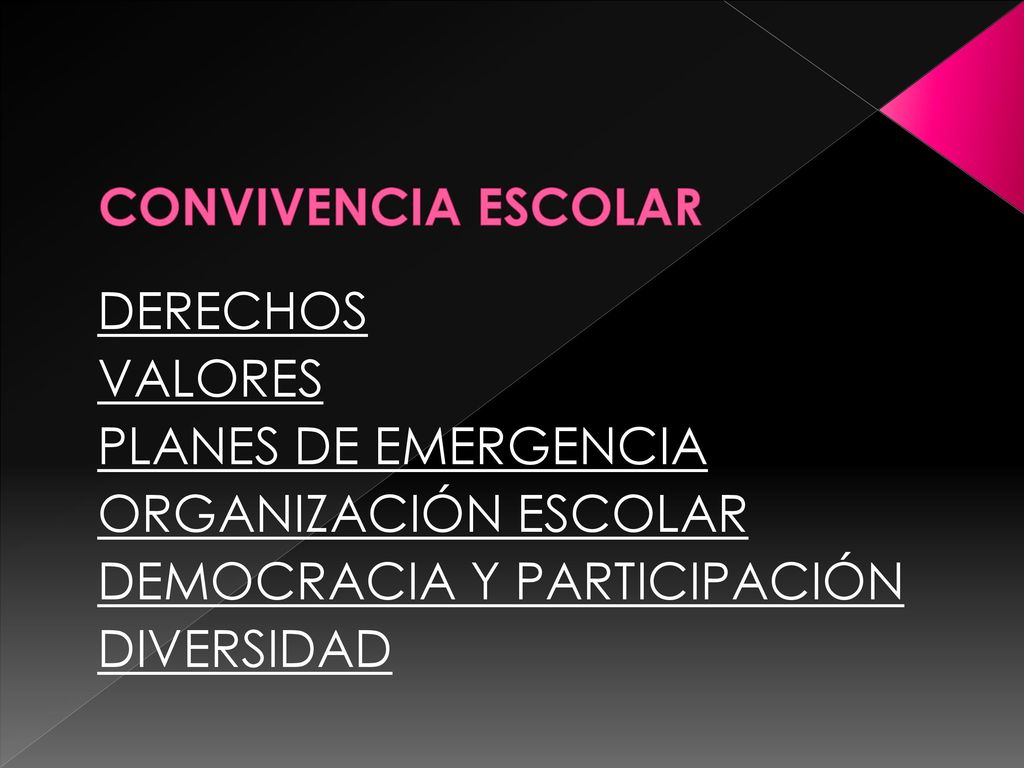 CONVIVENCIA ESCOLAR DERECHOS. VALORES. PLANES DE EMERGENCIA. ORGANIZACIÓN ESCOLAR. DEMOCRACIA Y PARTICIPACIÓN.