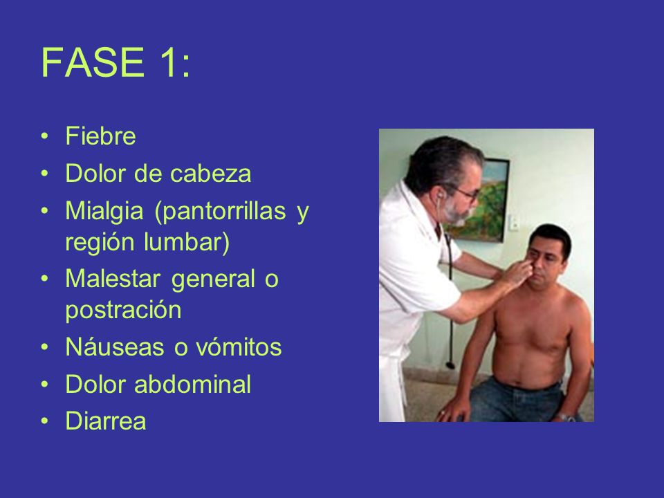 FASE 1: Fiebre Dolor de cabeza Mialgia (pantorrillas y región lumbar)