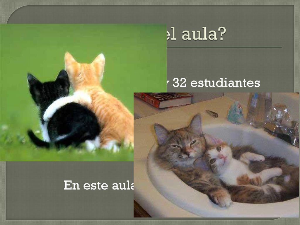 ¿Qué hay en el aula ¿Qué no hay en el aula