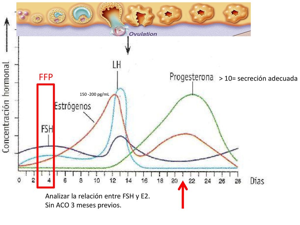 FFP > 10= secreción adecuada Analizar la relación entre FSH y E2.