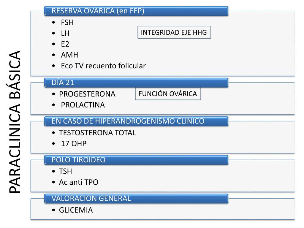 PARACLINICA BÁSICA RESERVA OVARICA (en FFP) FSH LH E2 AMH
