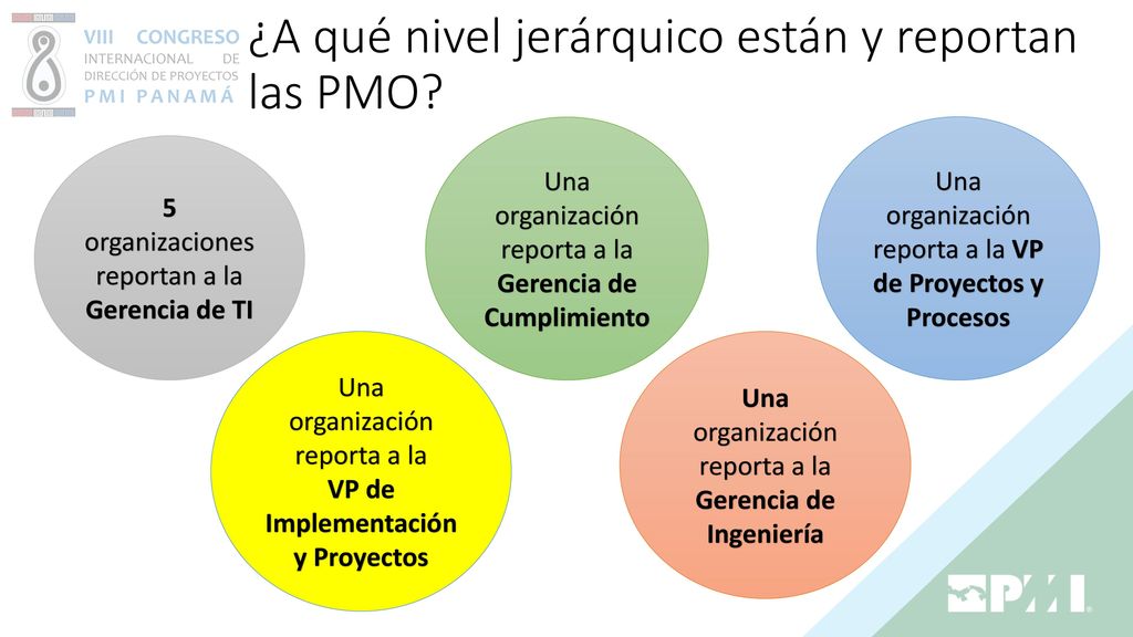 ¿A qué nivel jerárquico están y reportan las PMO