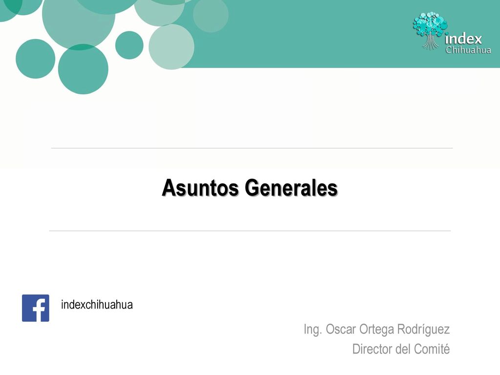 Asuntos Generales Ing. Oscar Ortega Rodríguez Director del Comité