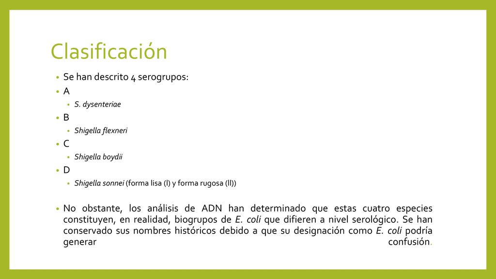 Clasificación Se han descrito 4 serogrupos: A B C D