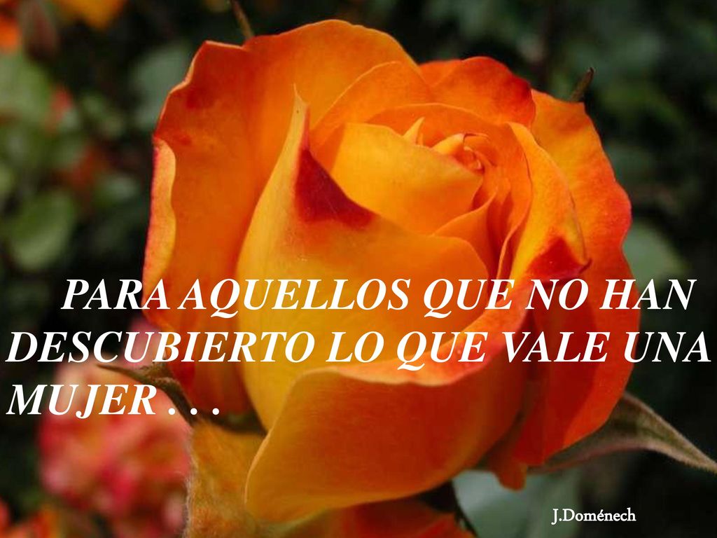 PARA AQUELLOS QUE NO HAN DESCUBIERTO LO QUE VALE UNA MUJER . . .