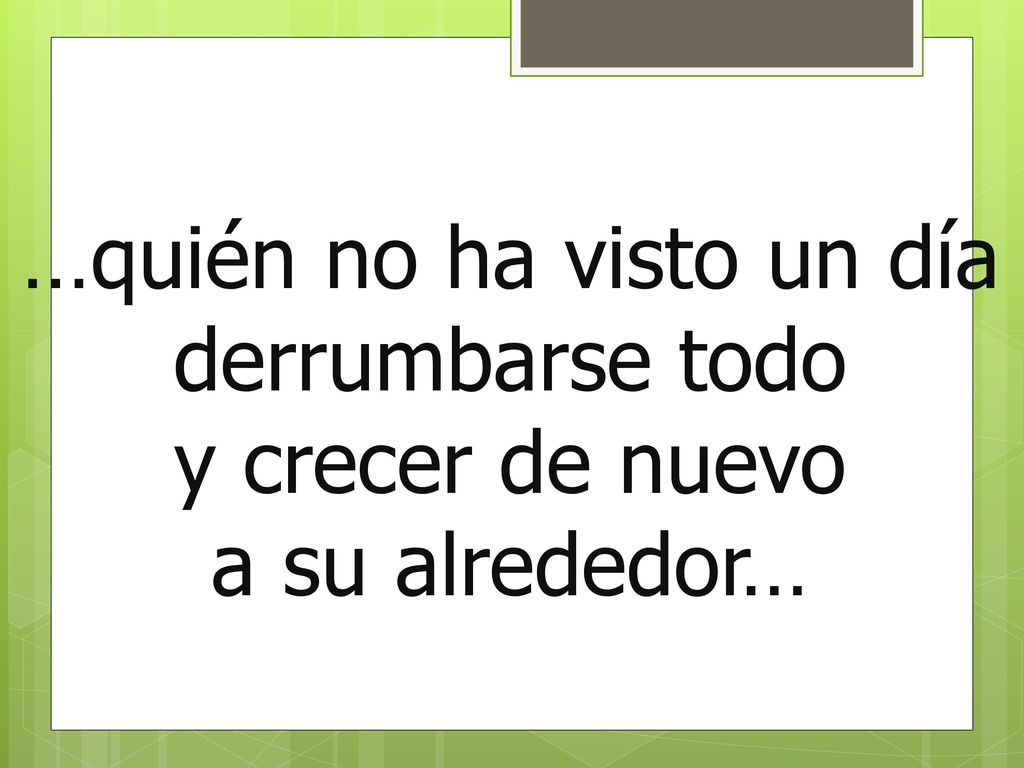 …Tengo derecho a ser feliz Tengo derecho a ser feliz Tengo derecho a ser feliz Tengo derecho a ser feliz…