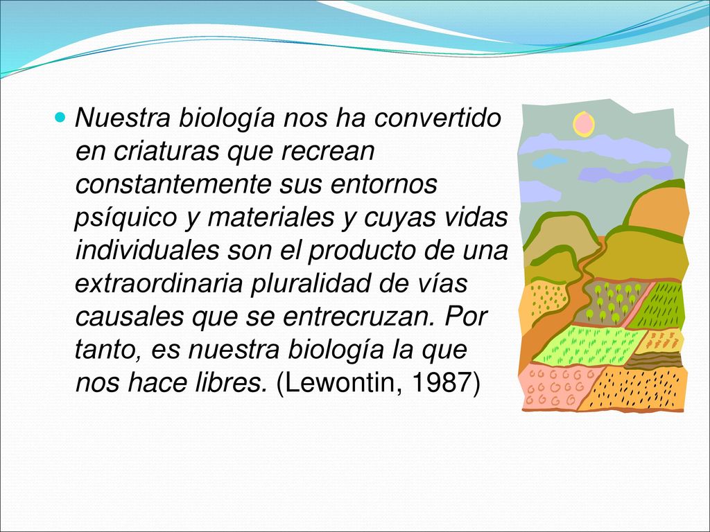 Nuestra biología nos ha convertido en criaturas que recrean constantemente sus entornos psíquico y materiales y cuyas vidas individuales son el producto de una extraordinaria pluralidad de vías causales que se entrecruzan. Por tanto, es nuestra biología la que nos hace libres. (Lewontin, 1987)