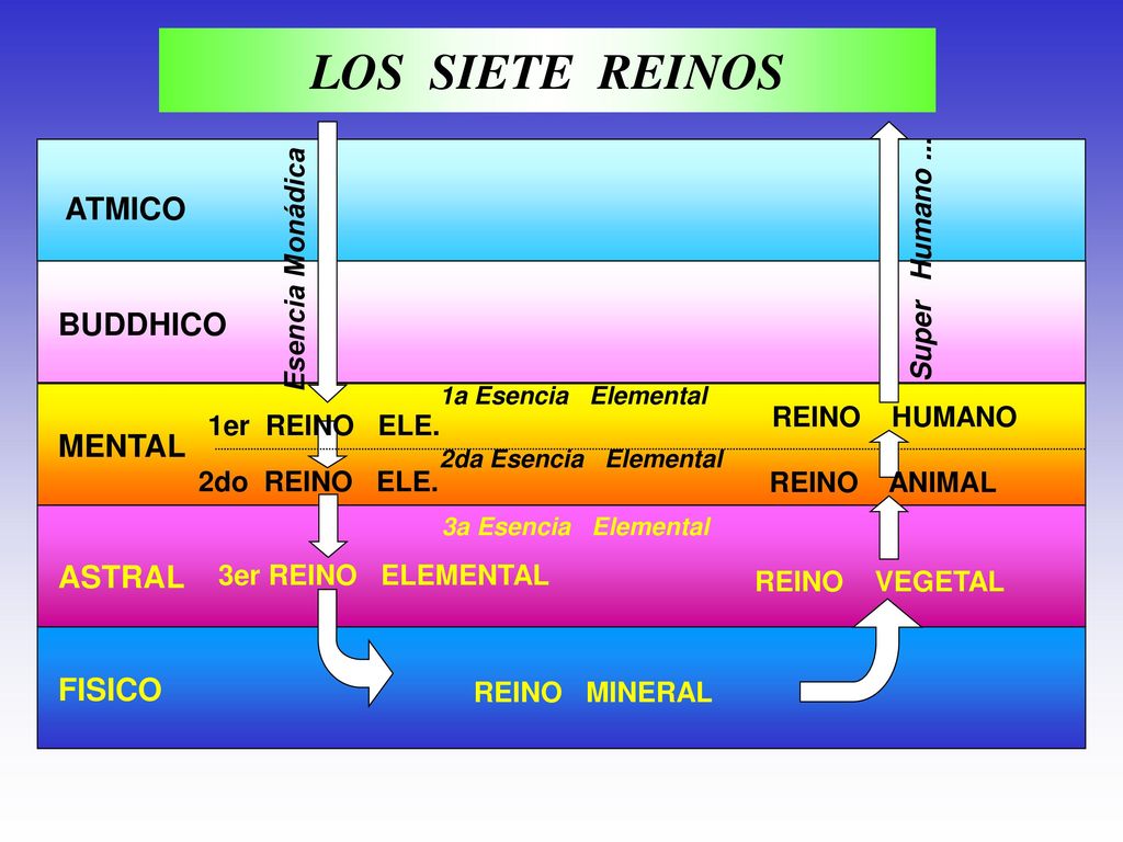 LOS SIETE REINOS ATMICO BUDDHICO MENTAL ASTRAL FISICO Super Humano ...