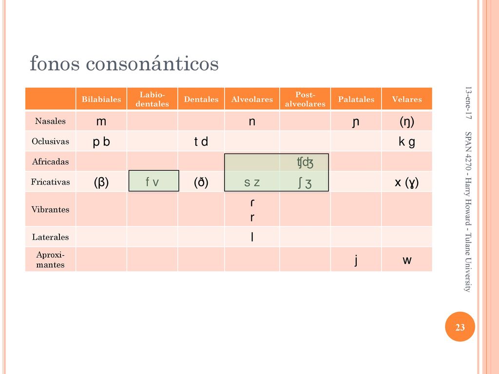 fonos consonánticos m n ɲ (ŋ) p b t d k g ʧʤ (β) f v (ð) s z ʃ ʒ x (ɣ)