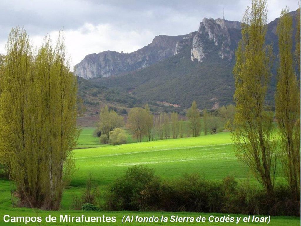 Campos de Mirafuentes (Al fondo la Sierra de Codés y el Ioar)