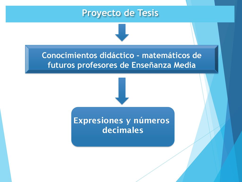 Proyecto de Tesis Conocimientos didáctico - matemáticos de futuros profesores de Enseñanza Media. Expresiones y números.