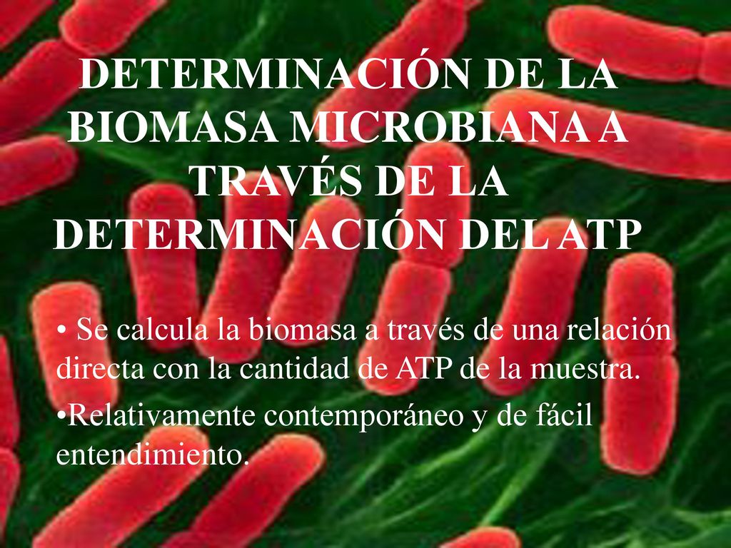 DETERMINACIÓN DE LA BIOMASA MICROBIANA A TRAVÉS DE LA DETERMINACIÓN DEL ATP