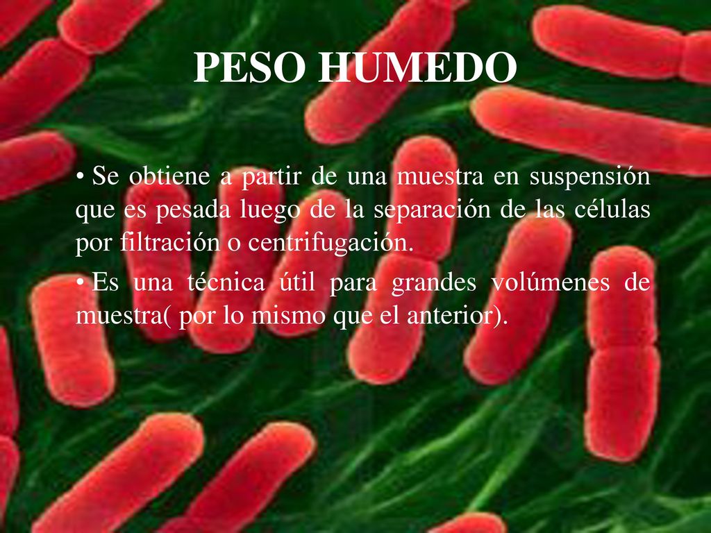 PESO HUMEDO Se obtiene a partir de una muestra en suspensión que es pesada luego de la separación de las células por filtración o centrifugación.