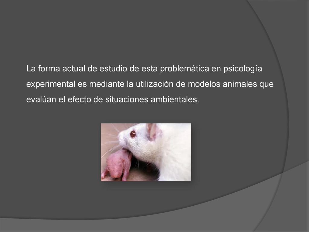La forma actual de estudio de esta problemática en psicología experimental es mediante la utilización de modelos animales que evalúan el efecto de situaciones ambientales.