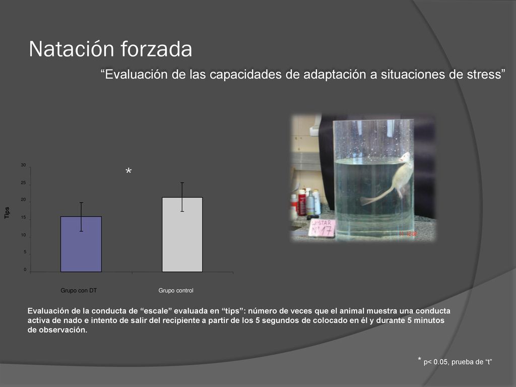 Natación forzada Evaluación de las capacidades de adaptación a situaciones de stress