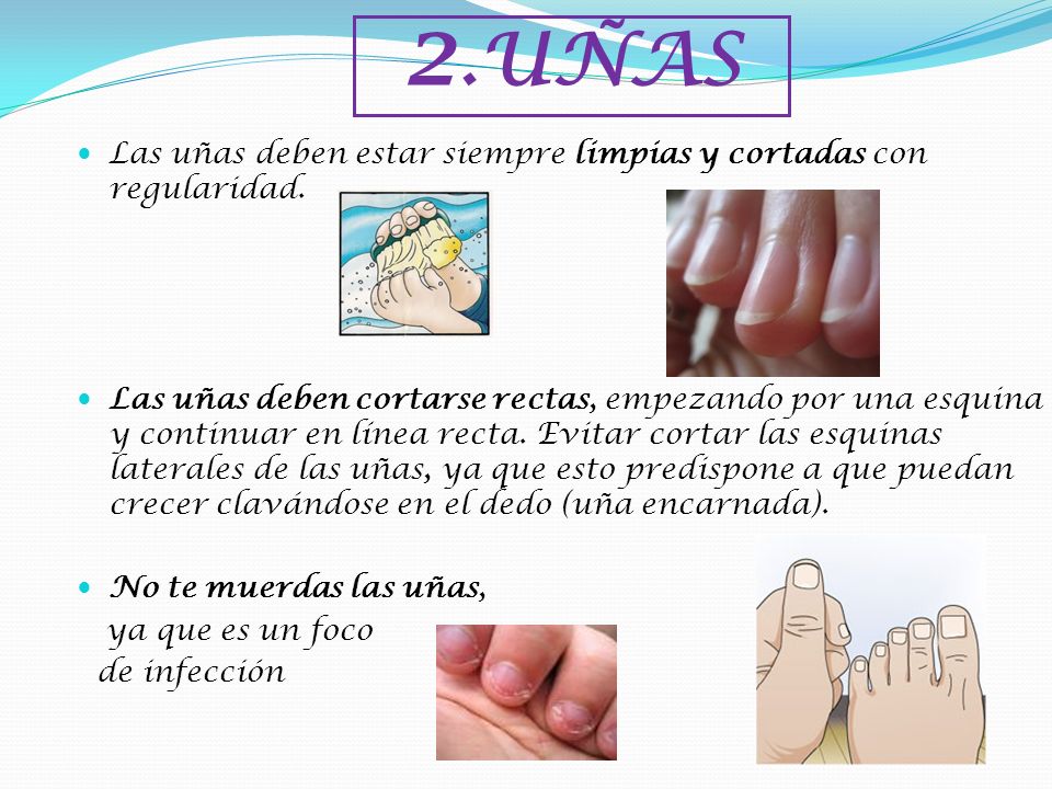 2.UÑAS Las uñas deben estar siempre limpias y cortadas con regularidad.