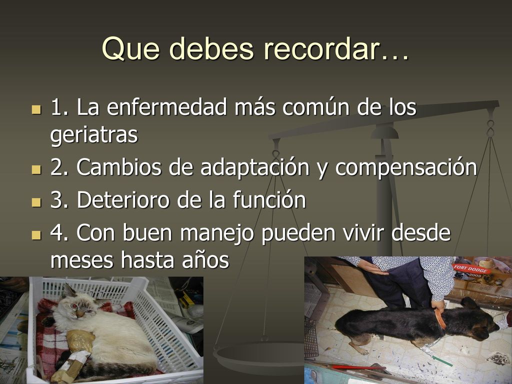 Que debes recordar… 1. La enfermedad más común de los geriatras