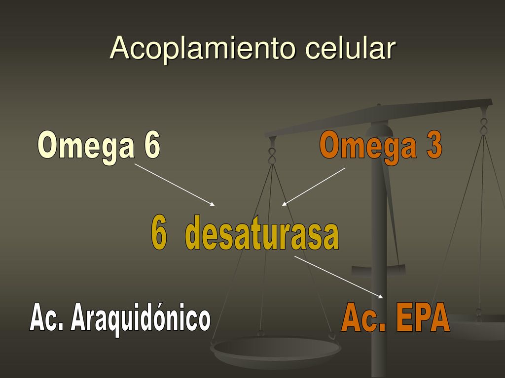 Acoplamiento celular Omega 6 Omega 3 6 desaturasa Ac. Araquidónico