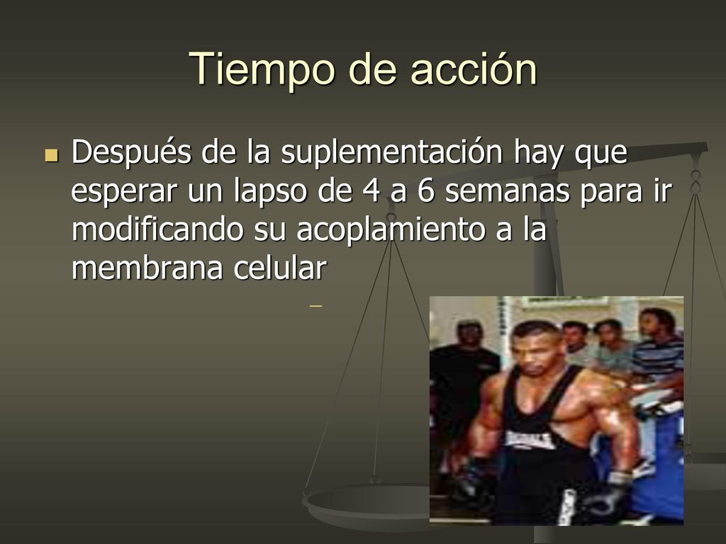 Tiempo de acción Después de la suplementación hay que esperar un lapso de 4 a 6 semanas para ir modificando su acoplamiento a la membrana celular.