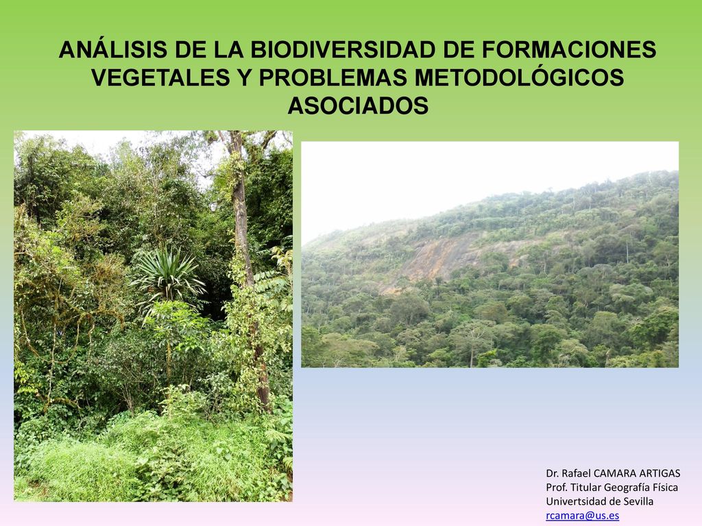 ANÁLISIS DE LA BIODIVERSIDAD DE FORMACIONES VEGETALES Y PROBLEMAS METODOLÓGICOS ASOCIADOS