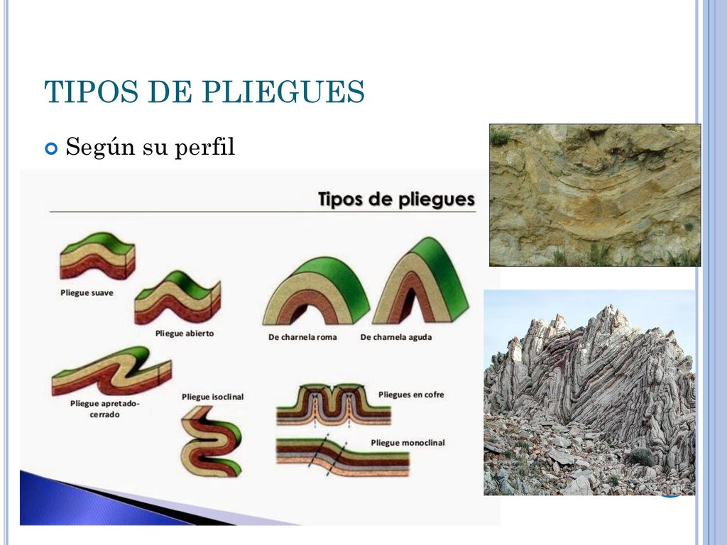 TIPOS DE PLIEGUES Según su perfil