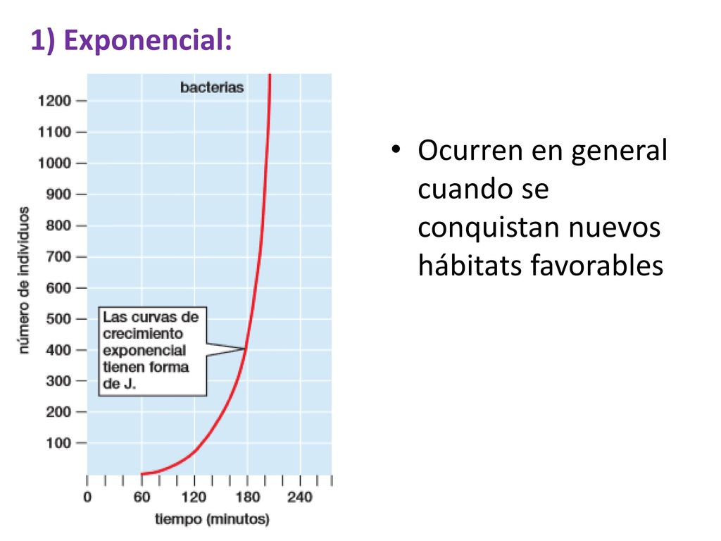 1) Exponencial: Ocurren en general cuando se conquistan nuevos hábitats favorables
