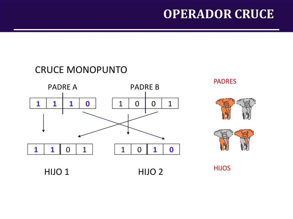 OPERADOR CRUCE CRUCE MONOPUNTO PADRES HIJOS HIJO 1 HIJO 2