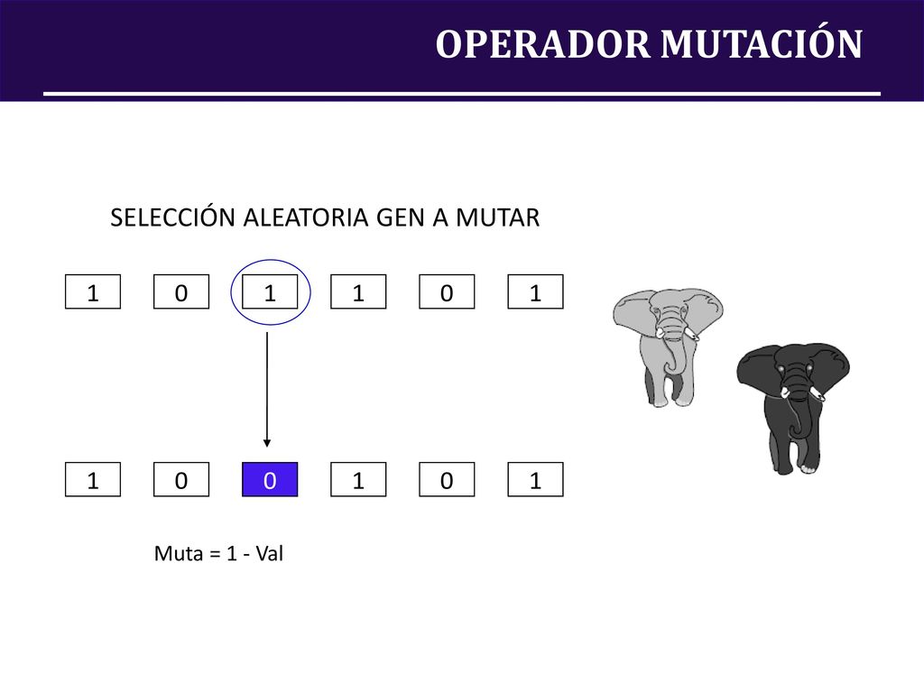 OPERADOR MUTACIÓN SELECCIÓN ALEATORIA GEN A MUTAR Muta = 1 - Val
