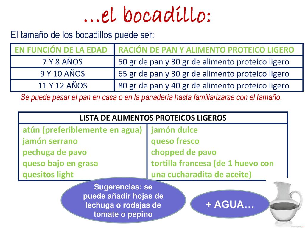 …el bocadillo: El tamaño de los bocadillos puede ser: + AGUA…